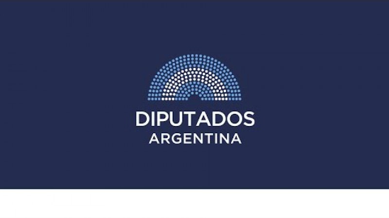 La oposición busca revertir hoy los vetos de Milei sobre fondos universitarios y emergencia pediátrica